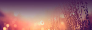 intuitive-readings-with-alli-keating